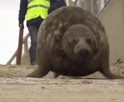 Upvote this okay thanks