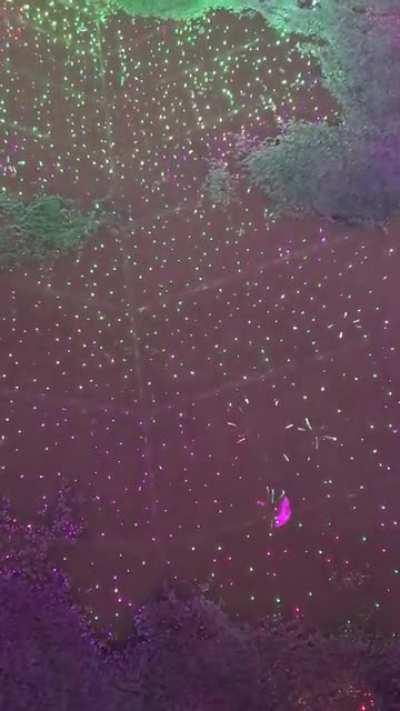 Puddle reflecting lights which look like mini fireworks when raindrops fall on it...
