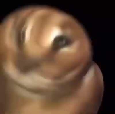 Floppa dances to 3DS music :)))