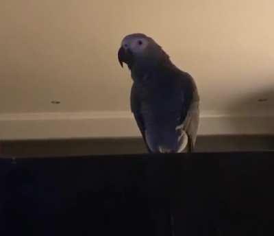 The way this sounds exactly like the real sound