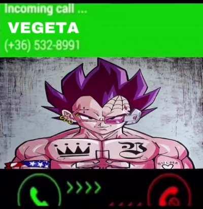 bulma temporary vegeta forever