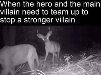 This doesn’t make us friends. After this we go right back to how things were.