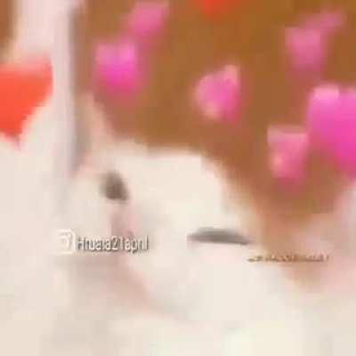 Keep shifting the gear please; don’t stop