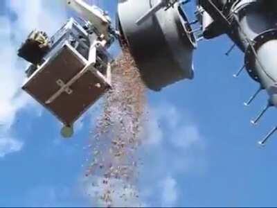 They just up an destroyed that squirrel’s entire pantry