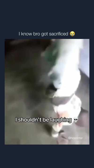 That lil nigga deserved it