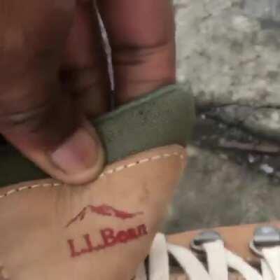 Let me see the tongue man