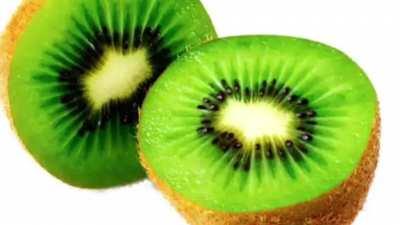Kiwi with music