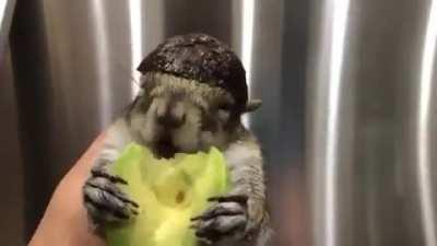 Soldier does mukbang