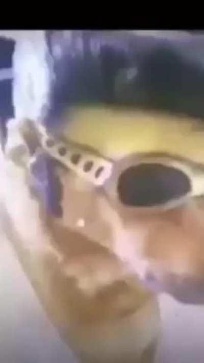 i swear if i see a u/savevideo on this comment section....... 2!!!!!!!!?!!! 