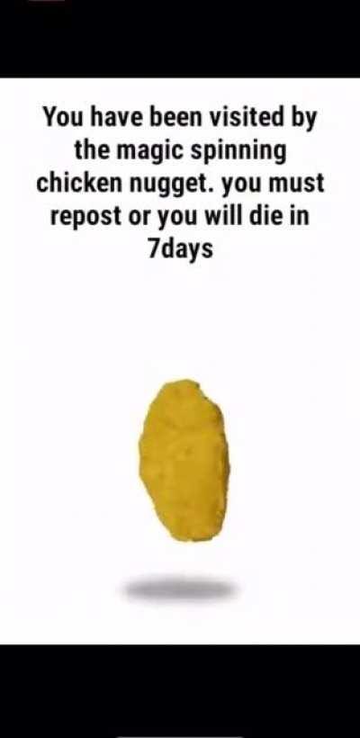 (Hol up style title)