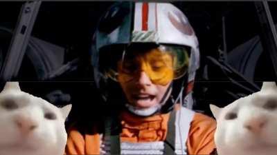 LessssGoooooo!!!!🚀🚀🚀🚀🚀💎🙌🏻