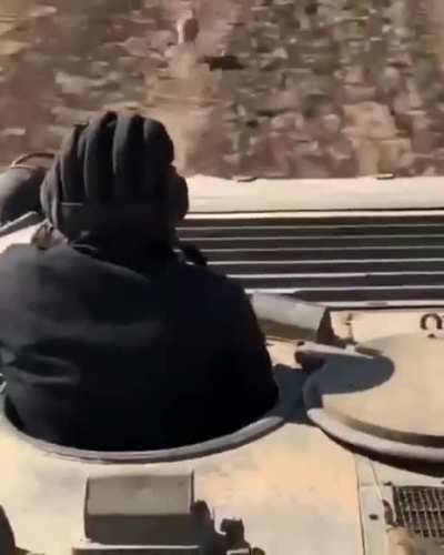 Сафари по русски. (БМП-2 vs. Заяц)