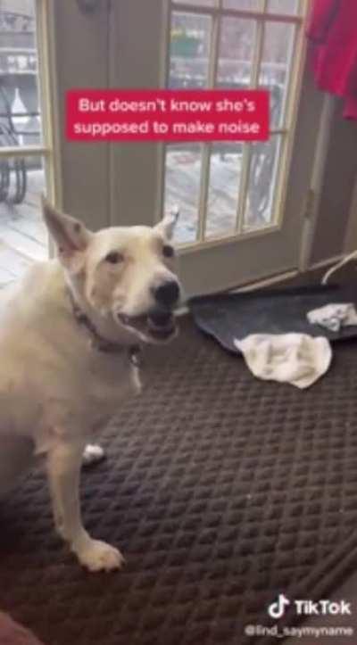 Dog thinks he’s barking