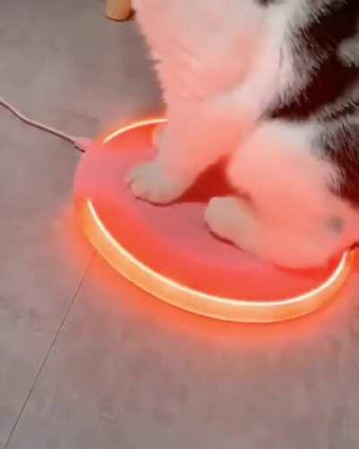 Becoming the Chosen One