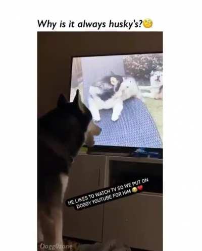 This kid never stops making funny jokes