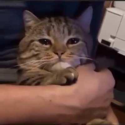 I’m sorry, it’s over, I tried my best but ultimately failed.