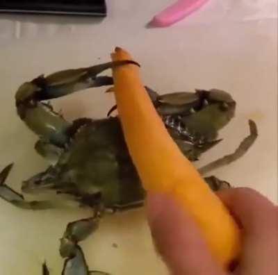 I’m going for a month!