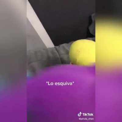 Gente, aquí el anime completo y trailer segunda temporada, yo no soy el que hago los videos, pero pueden verlos todos y apoyarlos en la cuenta de tik tok de: pirula_chan