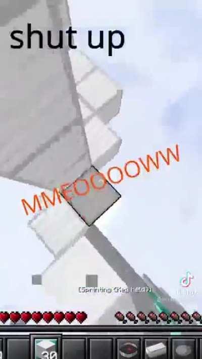 Nothing like some Minecraft with your lil bro