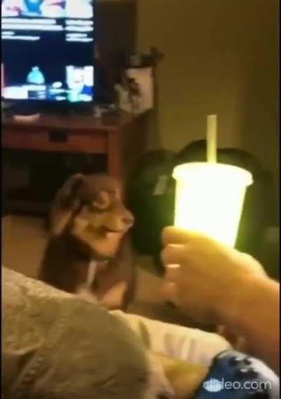 He’s seen the light