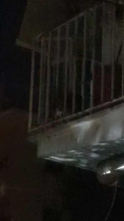 Part 2 of my neighbour's cat yelling at me! His yelling is apparently not time-specific😂