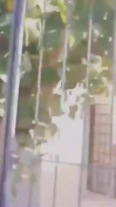 Erasmus Muharrem vs Öykünün Enayisi (Renklendirilmiş)