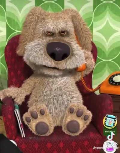 Do you support LGBTQ?