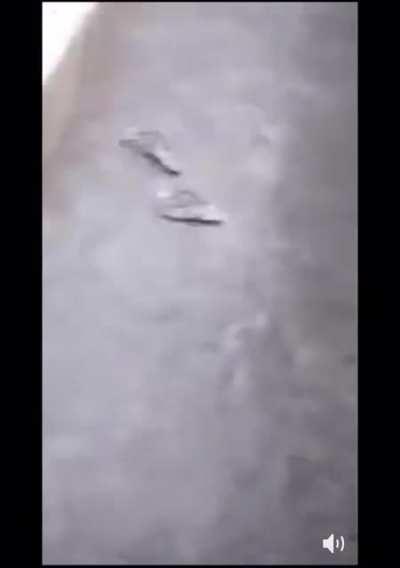 Man hits his head diving into pool