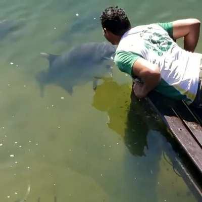 olha o tamanho desse tamba