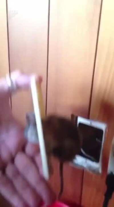 Проблемы с интернетом?