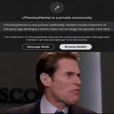 ihavreihaver no porn