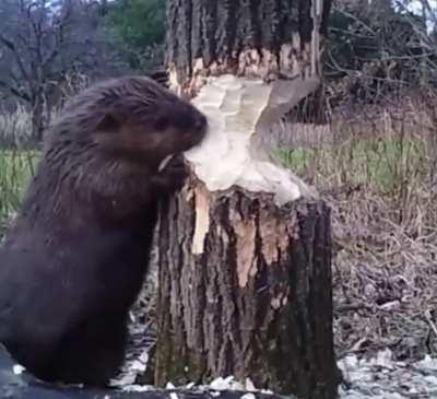 Thoughts on this technique?