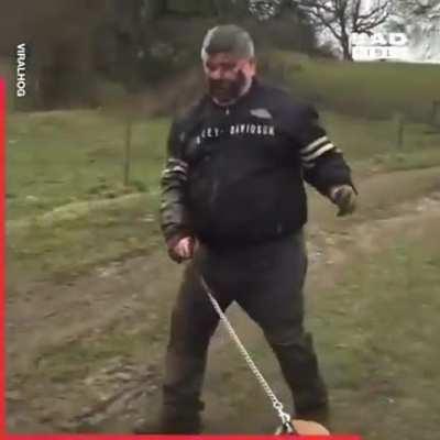 A compilation I believe belongs here