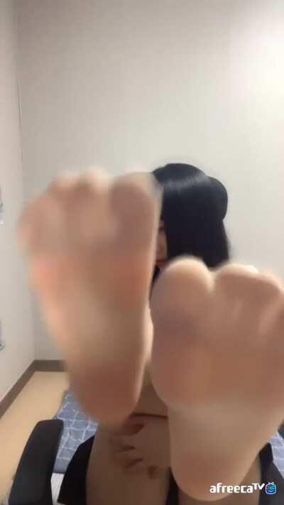 나냥꾼 (@wowmxl29)