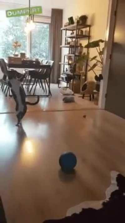 Let me walk over there and pounce on that.