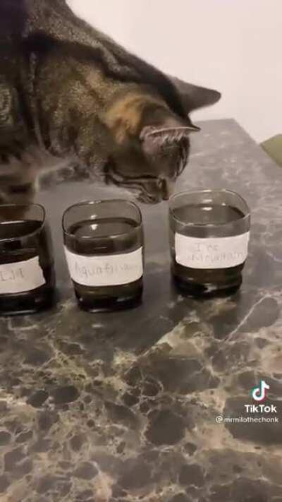 Bottled water taster