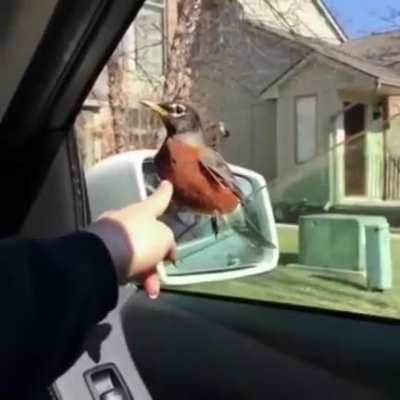 I am not gonna go .. what will you do