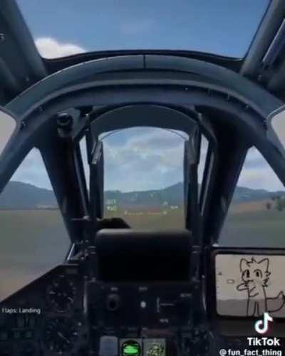 totally not stolen from r/furry_irl