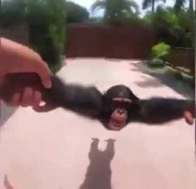 HOOO OO OO OO AAAAAA