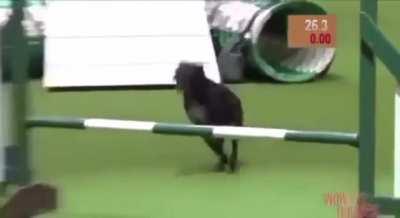 When it's time...its time