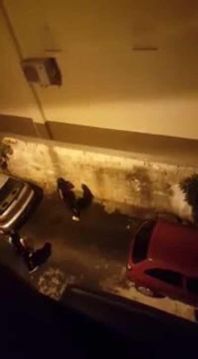 Swachhata Bharat Abhiyan.