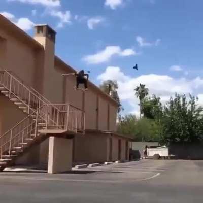 Hold my Red Bull while I jump down these stairs on a skateboard