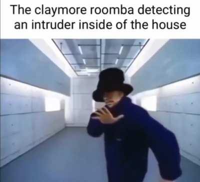 Bosnian home defence system