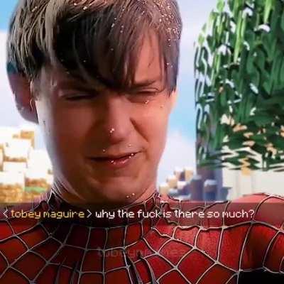 Credit goes to tobeymmemes from YouTube