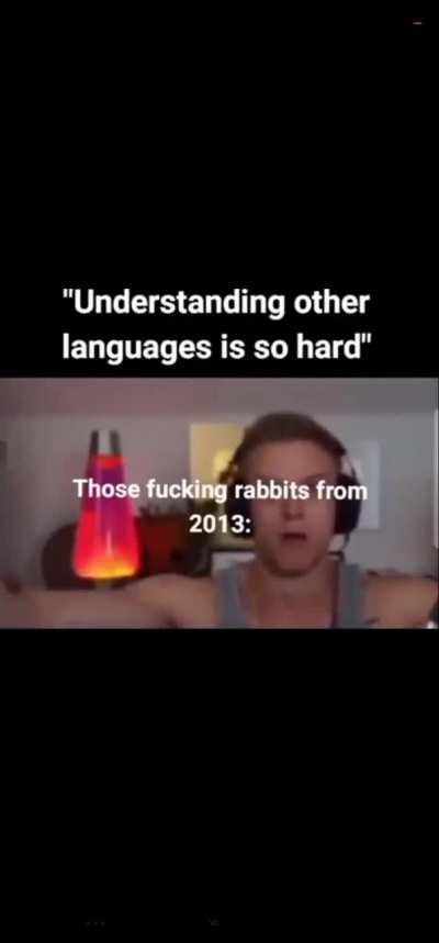 Rabbit invasion (hope this is enough lq) 