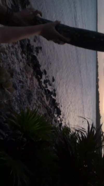 Working it on the beach 🌊