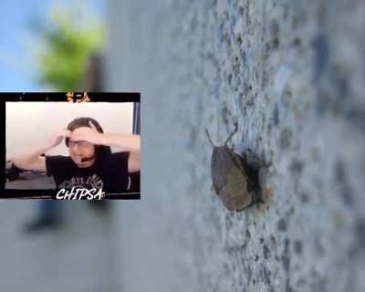 Someone sent this to me on discord