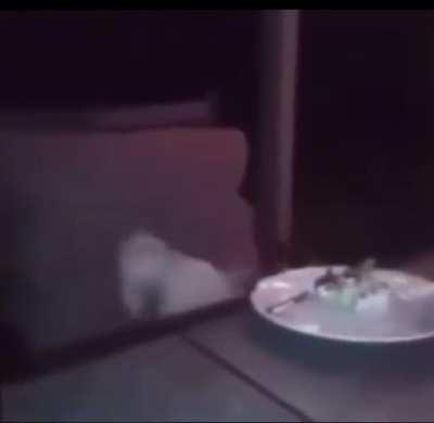 Bethy sitting next to Dav during their podcast 👉🤮