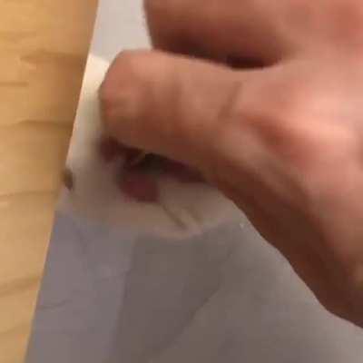 Khajit takes coin :3