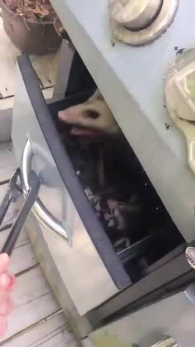 Внезапные квартиранты